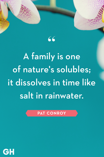 family quotes pat conroy