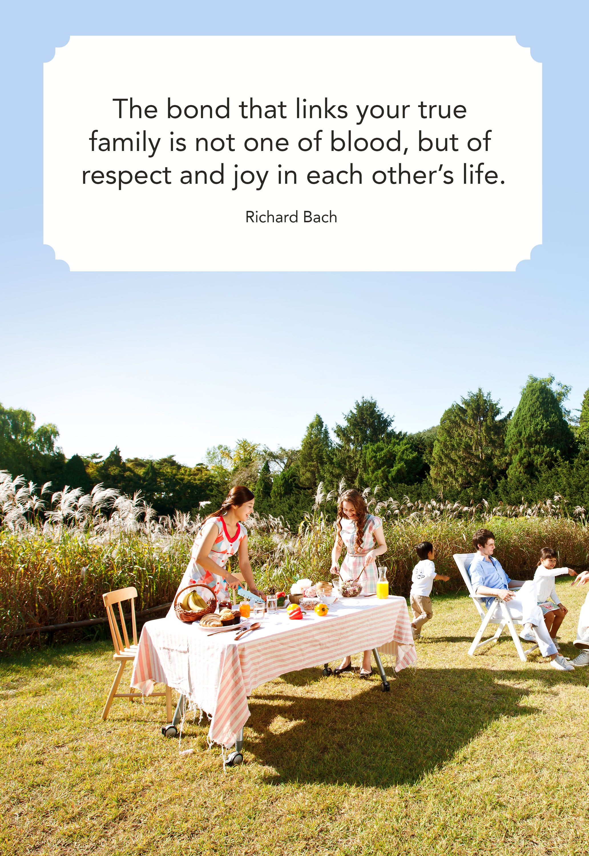 50 Best Family Quotes I Love My Family Quotes