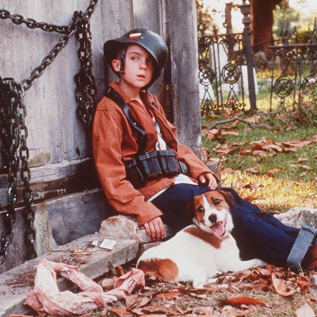 Famous Dogs from Movies - Skip in "My Dog Skip"