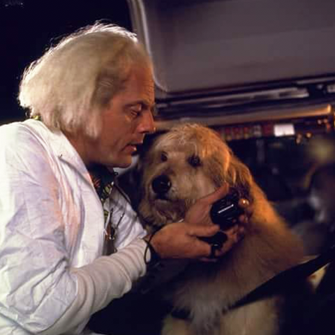 famous-dogs-from-movies-back-to-the-future-einstein-1560360792.png