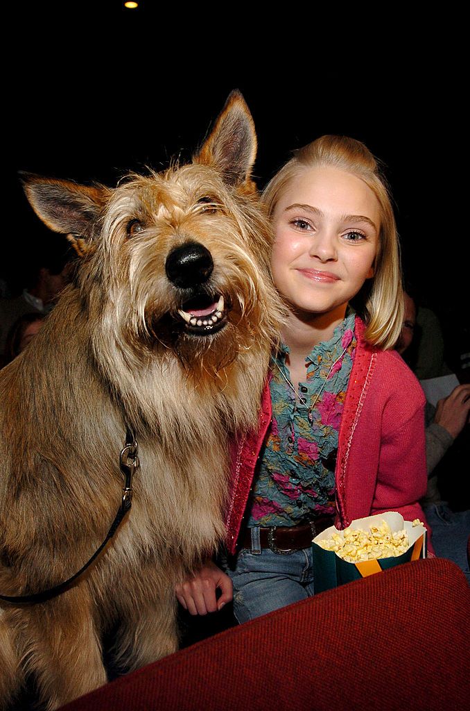the most famous dog in the movie world