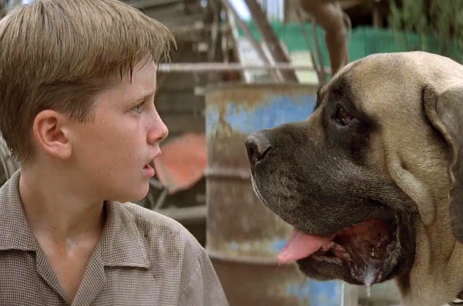 40 Famous Movie Dogs We Wish Were Our Pets
