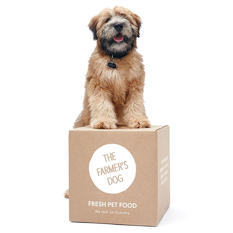 pet product delivery