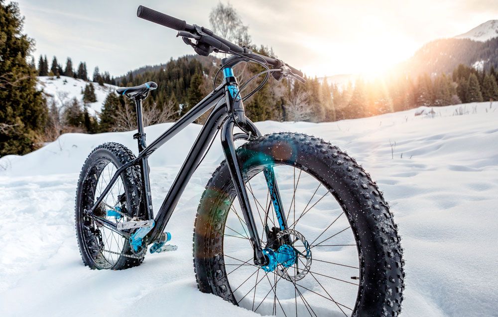 fat bike trainer