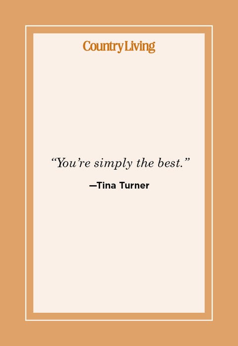 tina turner quote tina turner quote