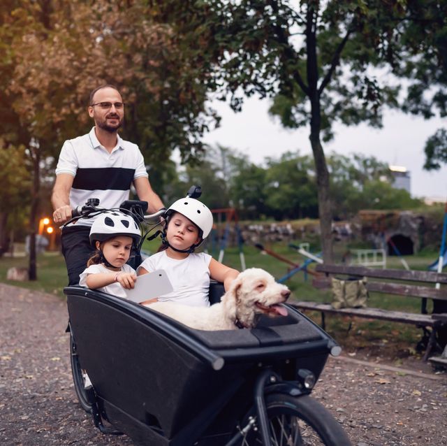 father riding daughters and dog in a cargo bike