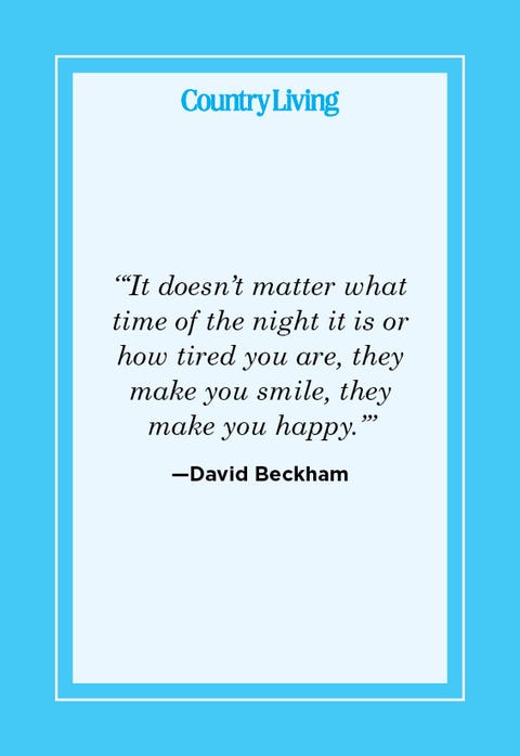 david beckham quote david beckham quote