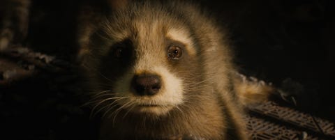 baby rocket voiced by bradley cooper in marvel studios' guardians of the galaxy vol 3 photo courtesy of marvel studios © 2023 marvel