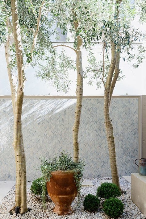 backyard privacy wall