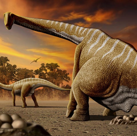 Warm Blooded Dinosaurs Eggshells Show That Dinosaurs Ran Warm Warm Blooded Dinosaurs Eggshells Show That Dinosaurs Ran Warm
