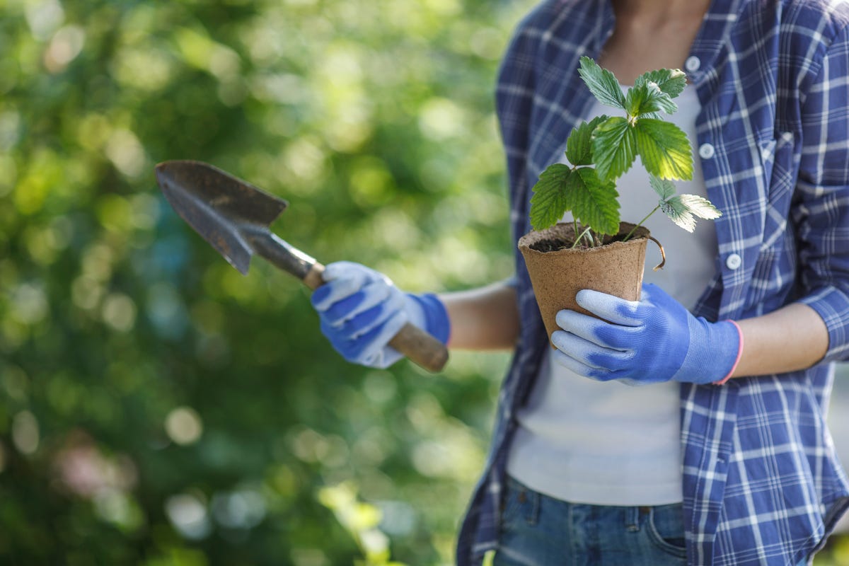 The 16 Best Gardening Gloves - Women's and Men's Garden Gloves