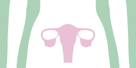 Ilustración del sistema reproductivo femenino.