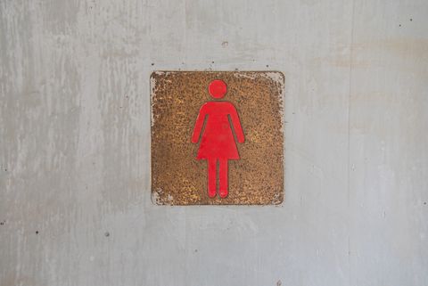 female sign on toilet door