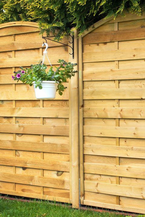 11 Backyard Fence Ideas Garden Fence Options For Privacy