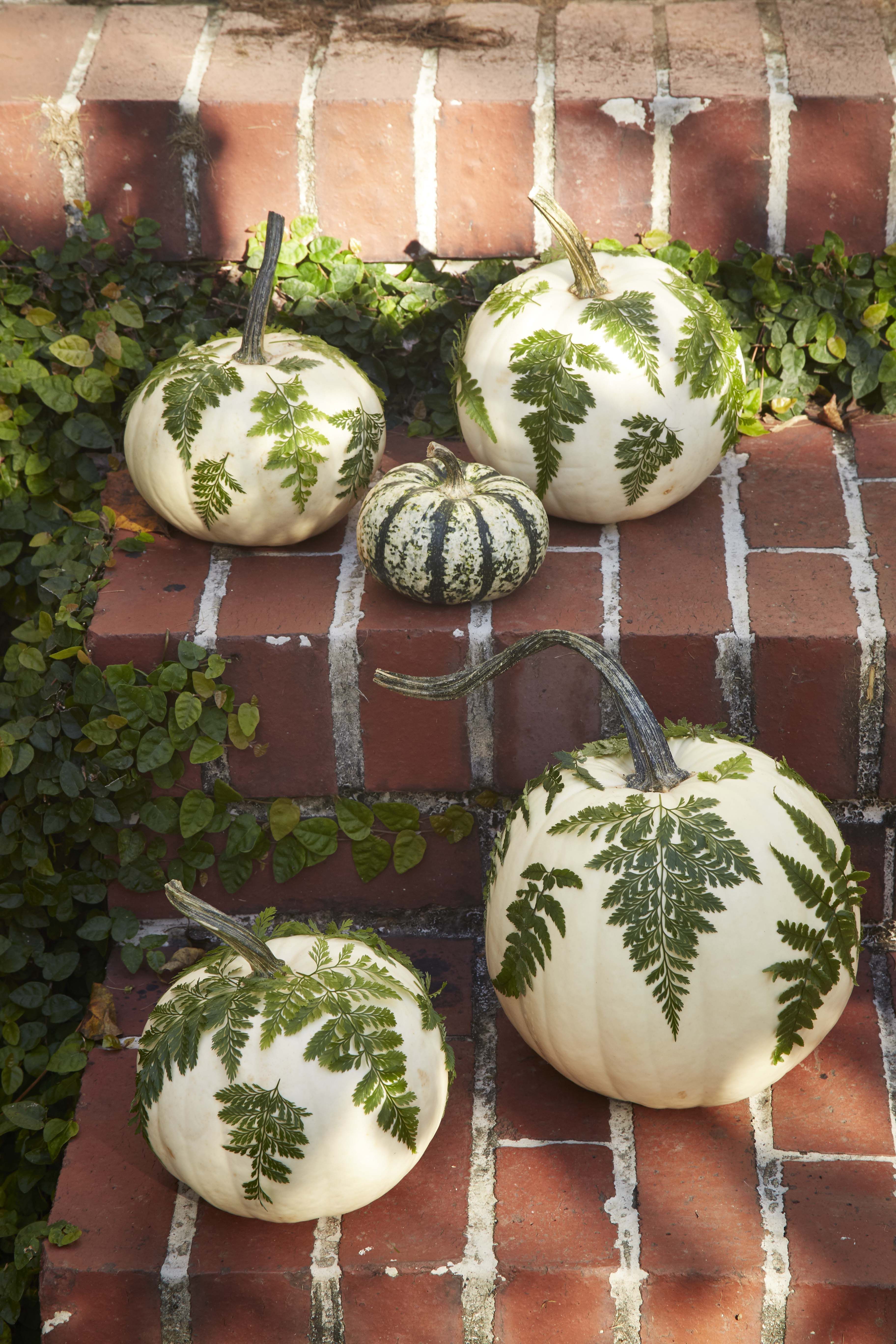 Wooden Spoon Garden Markers Pumpkin Plant Grow Your own Pumpkin