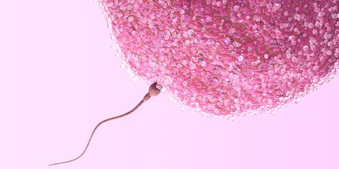 8 surprising things you never knew about your fertility