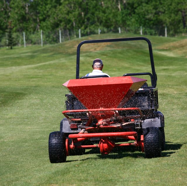 lawn fertilization, fertilizing a golf course with spreader, when to fertilize lawn, grass fertilizer tips