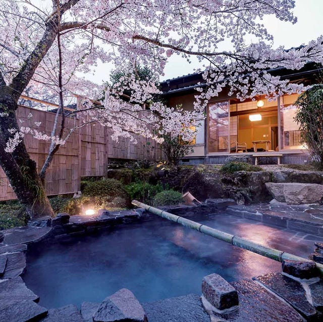 見上げれば満開の桜 湯船には花びら 春の贅沢を堪能する花見露天風呂 おすすめ5選 見上げれば満開の桜 湯船には花びら 春の贅沢を堪能する花見露天風呂 おすすめ5選