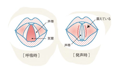 声がかすれる 声が出にくいの治し方は 声の老化を予防する 声筋 トレーニング