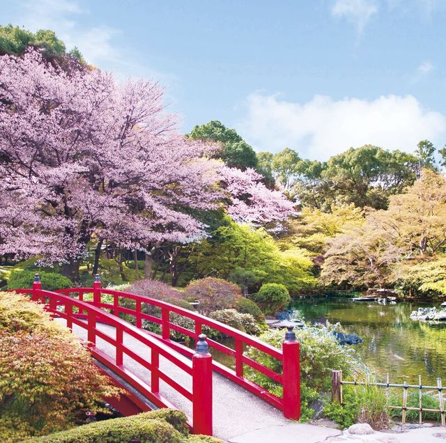 ホテルニューオータニ 日本庭園の風景と特別なディナーを楽しむ