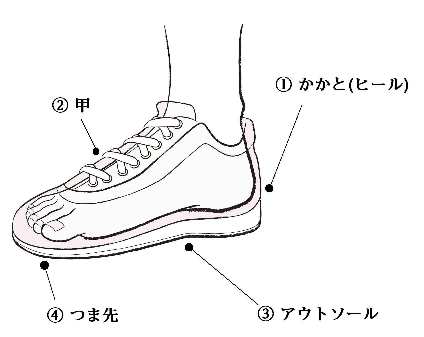 運命の一足に出合うために 正しい靴の選び方