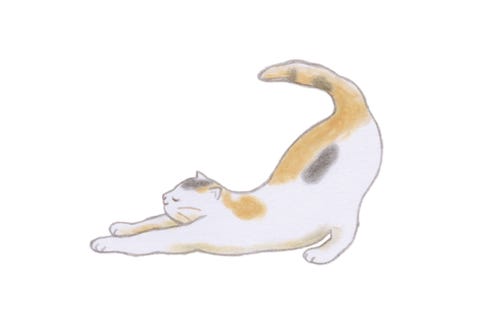 座りっぱなしで硬くなる 下半身 集中ほぐしストレッチ 座りっぱなしで硬くなる 下半身 集中ほぐしストレッチ