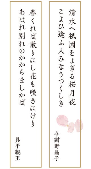 歌人 俵万智さんが選ぶ心を震わす 桜の和歌 8首 歌人 俵万智さんが選ぶ心を震わす 桜の和歌 8首