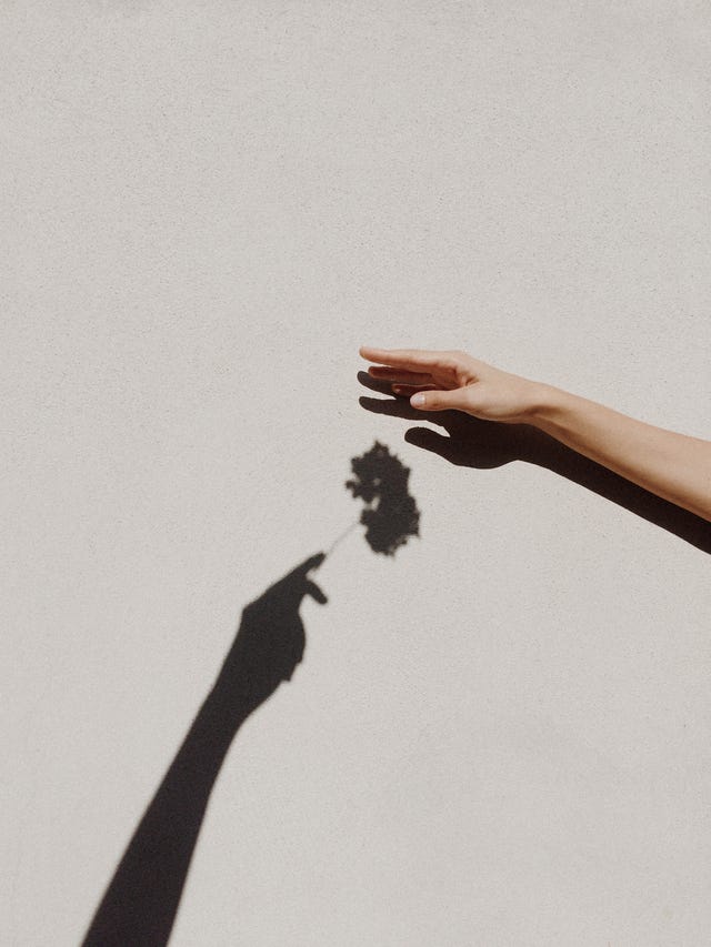 Cropped Hands Of People Against Gray Wall hand reaches out to the shadow who offers a flower