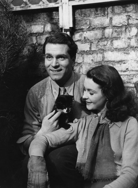 Vivien Leigh and Laurence Olivier at home