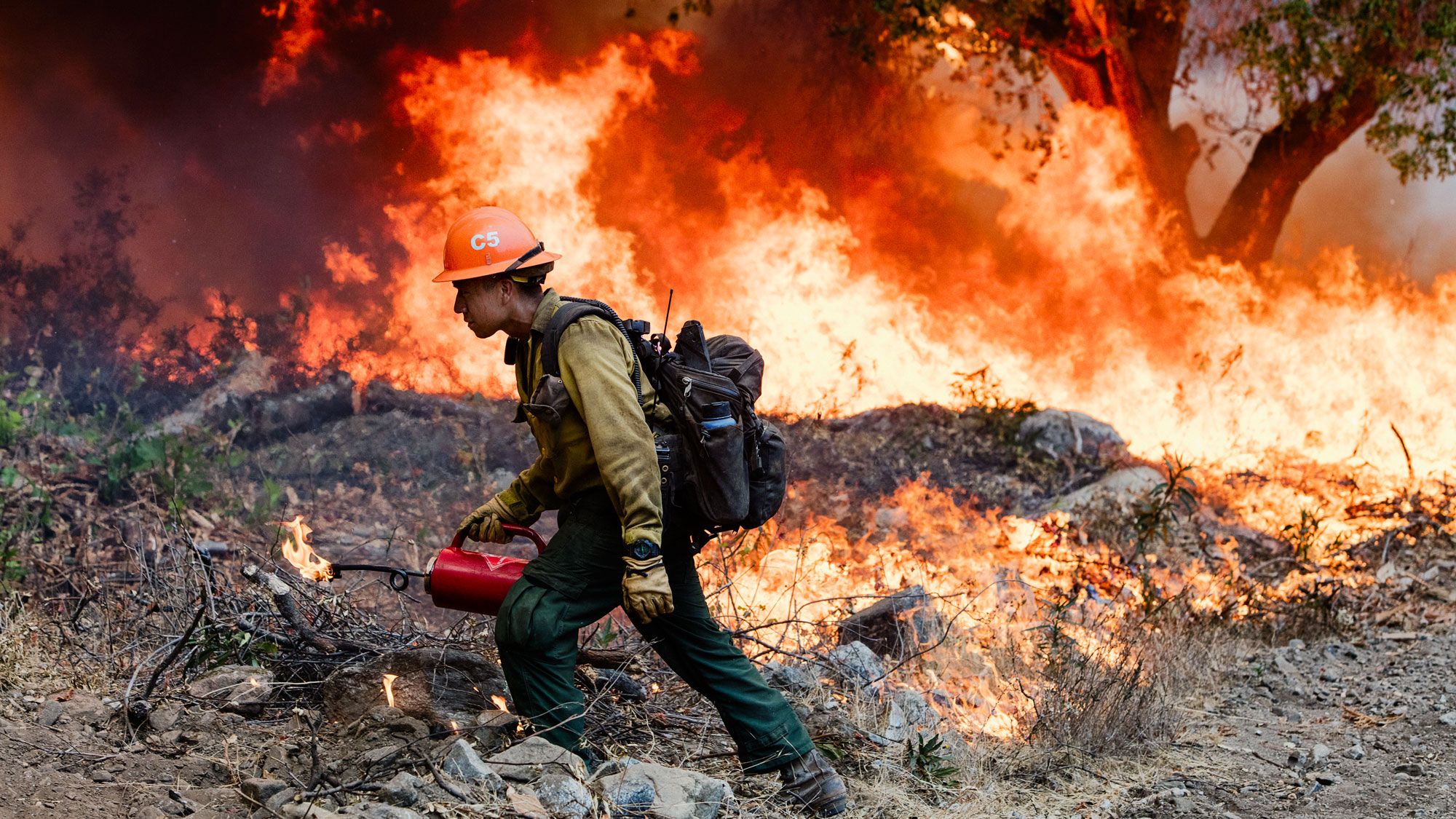 Flexxy firefight. Пожарная охрана леса. Firefighter after a Fire in Texas. Forest Fire Aero.