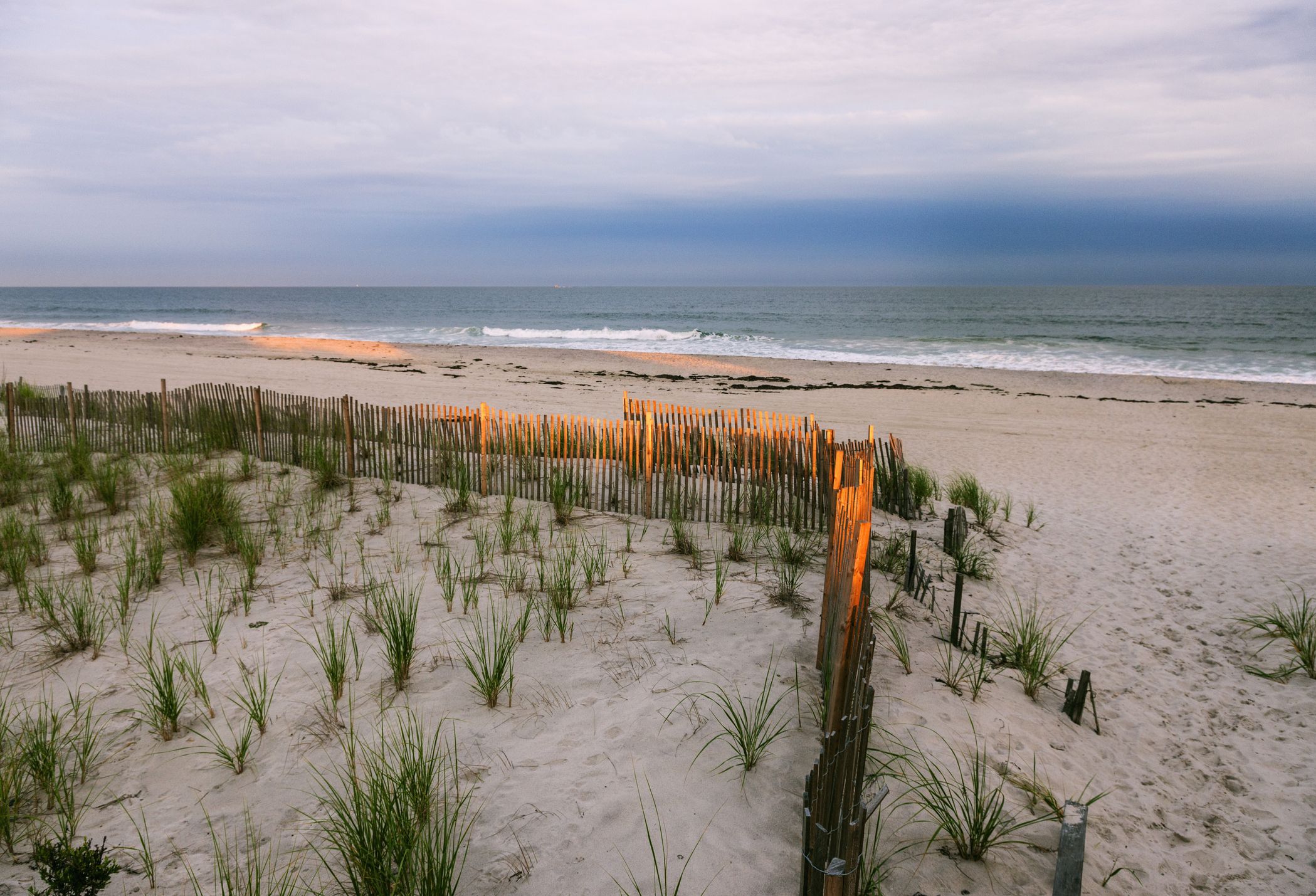 is fire island dog friendly