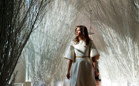 Image result for melania christmas