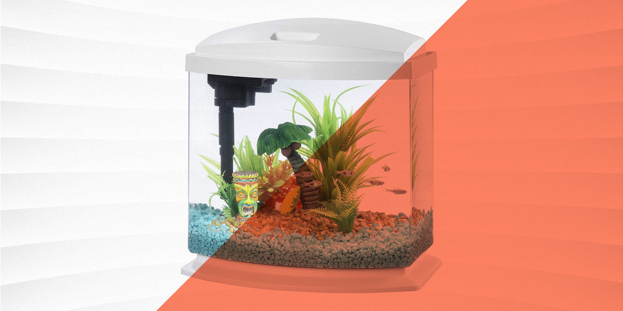 9 Best Fish Tanks for Keeping Your Scaly Friends Happy