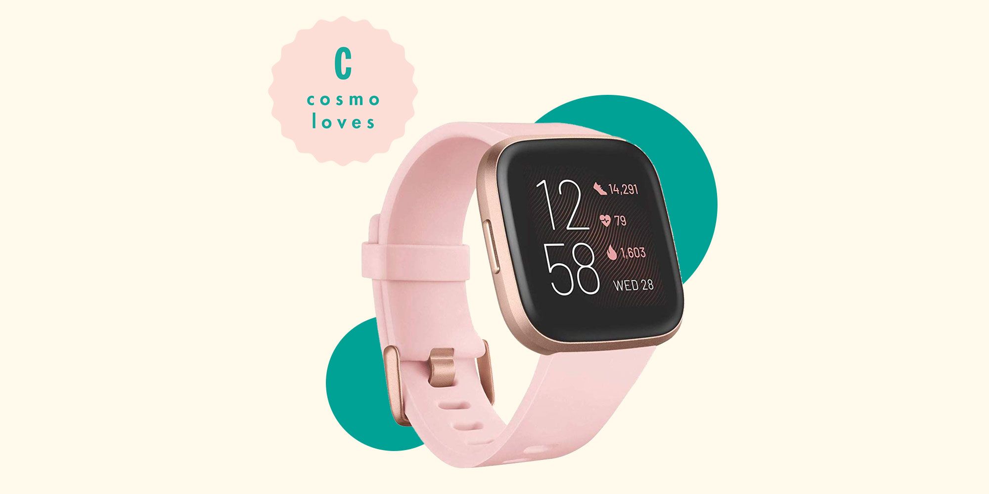 vista 2 fitbit