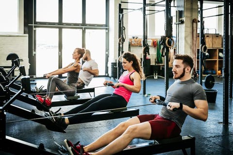 Fitness Enthusiasts Exercising Using Rowing Machines Fitness Enthusiasts Exercising Using Rowing Machines