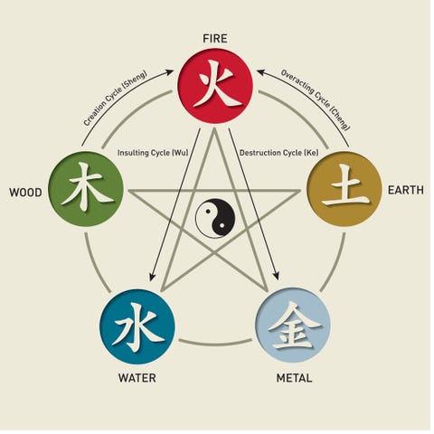 The 12 Chinese Zodiac Signs And Five Elements And What They Mean