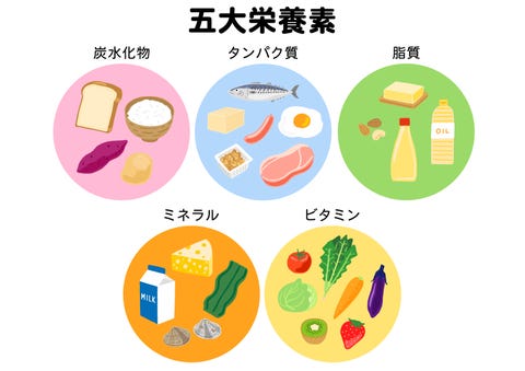 女性が1日に必要なタンパク質の量は 体重や筋トレ量によって違う 女性が1日に必要なタンパク質の量は 体重や筋トレ量によって違う