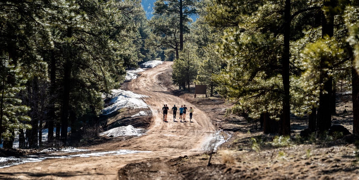 This is what the altitude training camp at Flagpole looks like