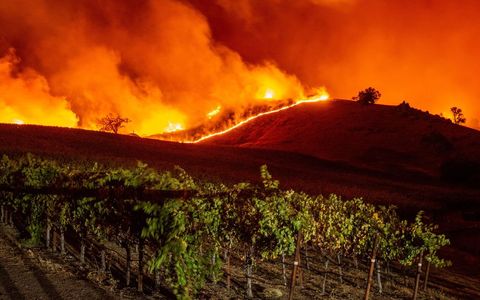 なぜカリフォルニアには山火事が多いのか その原因をひも解く