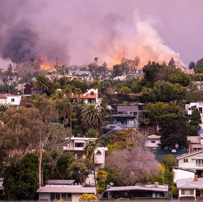 The Devastating Ways the Design Community Has Been Impacted by the L.A. Wildfires