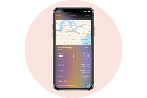 flight status apple iphone
