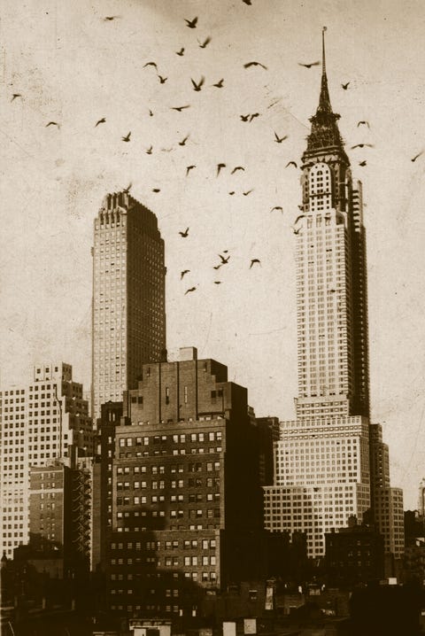 The Chrysler Building S History In Photographs Famous Nyc Buildings The Chrysler Building S History In Photographs Famous Nyc Buildings