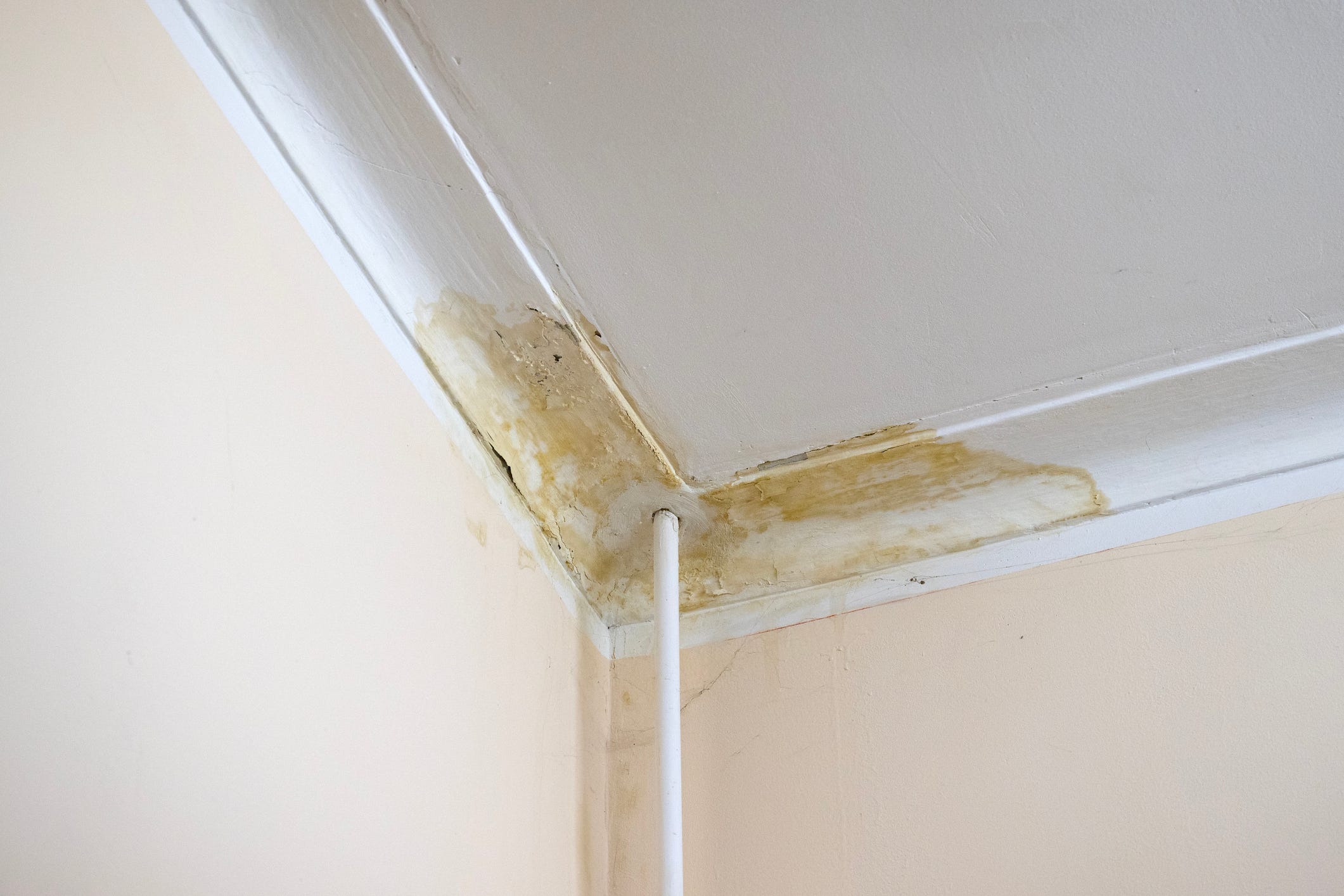 So, You Have a Water Stain on Your Ceiling—Here's What a Plumber Says to Do