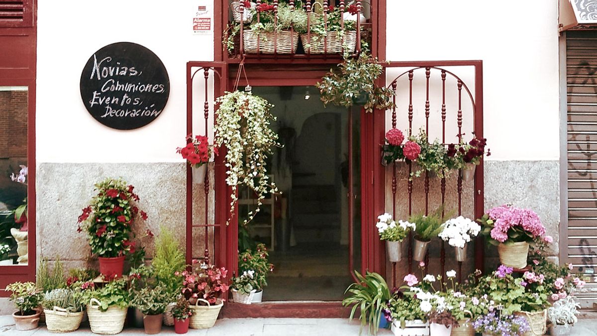 Las 35 floristerías con más encanto y más bonitas de Madrid