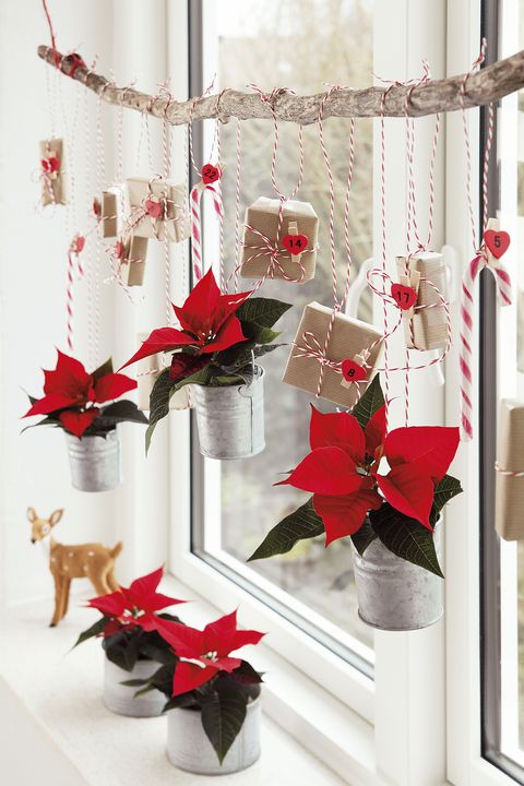 decoración de navidad con macetas colgantes de flor de pascua o poinsettias