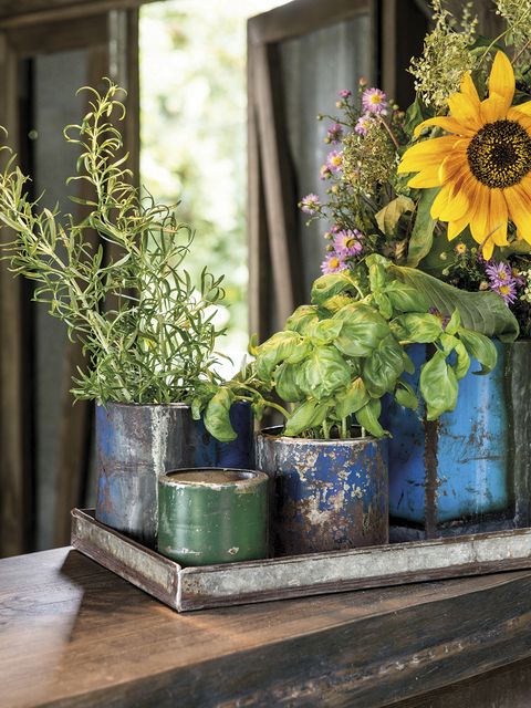 Flowerpot, Flower, Yellow, Blue, Green, Plant, Cut flowers, Floristry, Still life photography, Bouquet, 