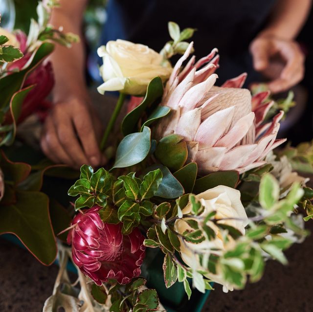 25 ideas para regalar flores y plantas en San Valentín