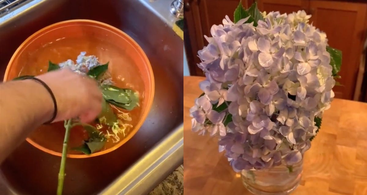 This Easy Hack Will Make Dying Hydrangeas Look Brand New