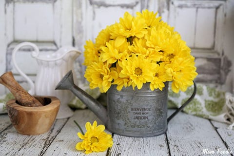 flower arrangements watering pot