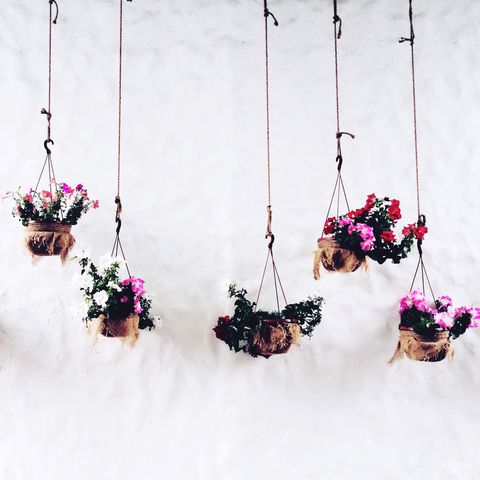 Flower Baskets Hanging Against Wall